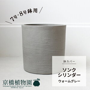 y5P5{IzySSN[|zyJo[z\N V_[FEH[O[i7E8ΉjyOCzyt@Co[|WzyKONTONzy񂹕iz