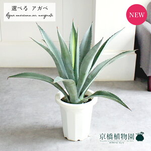 yizAKxEAImE[c@8@i1`5jyIׂϗtAzyϗtA/CeA//i`/A/蕨/yV/ʔ/zCg/~hTCY/Ă₷/l