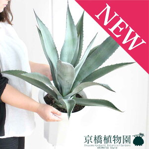 y30P5{IzAKx@AImE[c@8y~hTCYz