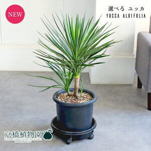 y}\N[|LIzyizbJEACtHA@@8@i6`11jyIׂϗtAzyϗtA/CeA//i`/A/蕨/yV/ʔ/~h