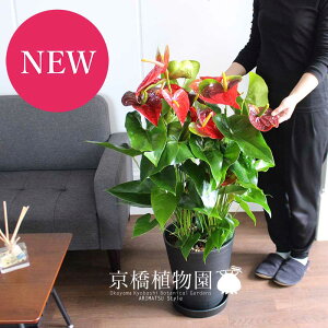 AXEiAX[j_R^@10y[WTCYz