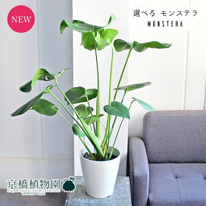 yubNtCf[N[|LIzyizXe@6@i6`9jyIׂϗtAzyϗtA/CeA//i`/A/蕨/yV/ʔ/~hTCY/zC