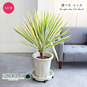 yizbJEtBg[TEJ[K[h@10@yIׂϗtAzyϗtA/CeA//i`/A/蕨/yV/ʔ/[WTCY/ڔ/zCg/lC