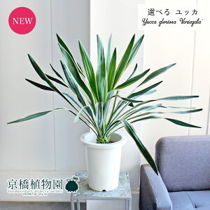 y1P7{zyizbJEOITEoGK[^@7@i6`11jyIׂϗtAzyϗtA/CeA//i`/A/蕨/yV/ʔ/~hTCY/zC