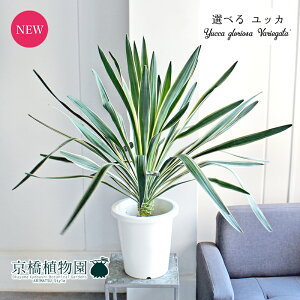 yizbJEOITEoGK[^@8@i1`5jyIׂϗtAzyϗtA/CeA//i`/A/蕨/yV/ʔ/~hTCY/zCg/ɋ