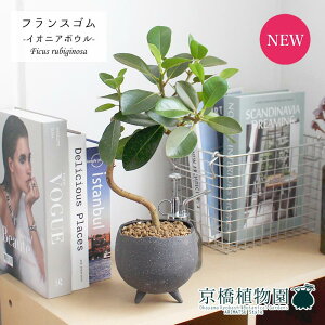 yCIjA{EL/O[ztXS@Ȃy󂯎Mtz