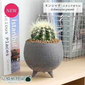 y25P5{IzyubNtCf[N[|LIzyCIjA{EL/O[zT{e ́iLV`jy󂯎MtzyϗtA@CeA  lC zj JXj 