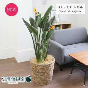 Xg`A/Xg`AEMl@10yoXPbgJo[t/uEzy[WTCYz