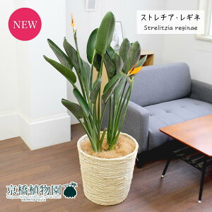 Xg`A/Xg`AEMl@10yoXPbgJo[t/AC{[zy[WTCYz