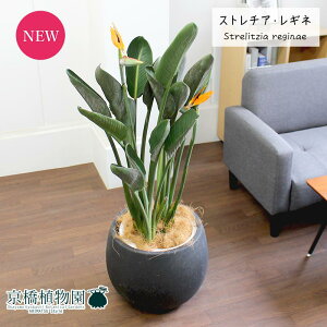 Xg`A/Xg`AEMl@10yo[Jo[t/AeB[NuEzy[WTCYz