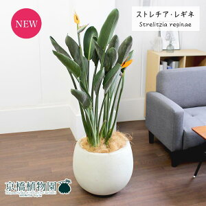 Xg`A/Xg`AEMl@10yo[Jo[t/AeB[NzCgzy[WTCYz