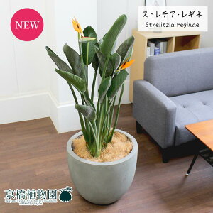 Xg`A/Xg`AEMl@10y[hCgEhJo[zy[WTCYz