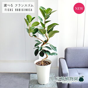 yubNtCf[N[|LIzyiztXS@Ȃ@6@vX`bNi1`5jyIׂϗtAzyϗtA/CeA//i`/A/蕨/yV/