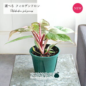 yubNtCf[N[|LIzyiztBfhEsNvZX@4@ΔyIׂϗtAzyϗtA/CeA//i`/A/蕨/yV/ʔ/X