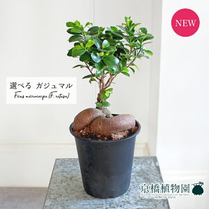 y30P5{IzyizKW}@5@i5`7jyIׂϗtAzyϗtA/CeA//i`/A/蕨/yV/ʔ/X[TCY/ubN/Ă₷/lC