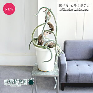 y30P5{IzyizqT{e@qfEBeERfmjXiJfmjXj@8@yIׂϗtAzyϗtA/CeA//i`/A/蕨/