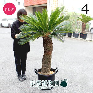 y1P7{IzyizhSi\ecj@13@i4jyϗtA/CeA//i`/A/蕨/yV/ʔ/TCY/^/ubN/Ă₷/A/ʌ/l