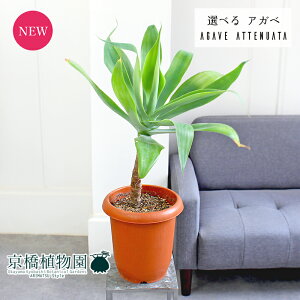 yizAKxEAei[^@8@i1`3jyIׂϗtAzyϗtA/CeA//i`/A/蕨/yV/ʔ/~hTCY/uE/lCiz