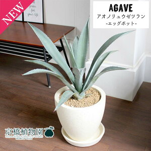 y30P5{IzyIׂ锫J[zAKx AImE[cyGbO|bgzyAC{[/O[zyՂ肽܂^̔z