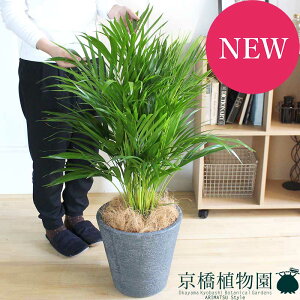 y5P5{IzySSN[|zySSizAJV@8yrAXJo[/ubNzy~hTCYz