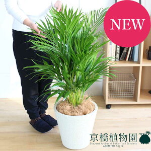 y5P5{IzySSN[|zySSizAJV@8yrAXJo[/zCgzy~hTCYz