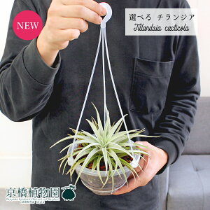 y30P5{Izy}\N[|LzyizGAvc@`WAEJNeBR@5@NA|bg@݂艺i1`5jyIׂϗtAzyϗtA/CeA//i`