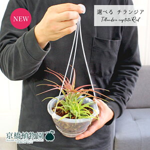 y1P7{IzyizGAvc@`WAEJs^[^Ebh@5@NA|bg@݂艺i11`14jyIׂϗtAzyϗtA/CeA//i`/A/