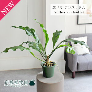 yizAXEEt[P[@5@Δi7`11jyIׂϗtAzyϗtA/CeA//i`/A/蕨/yV/ʔ/X[TCY/O[/Vv/lC