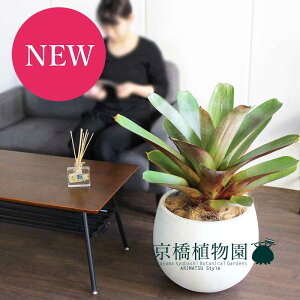 y5P5{IzySSN[|zAJ^AECyAXEuit[ZAjcAiiXyFRPo[Jo[/AeB[NzCgz