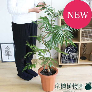 y1P7{IzlmL/Go[tbV@8y~hTCYz