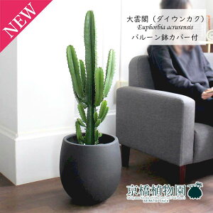 _ti_CEJNj7yo[Jo[t/AeB[NuEzy~hTCY/CeA/j/JXj/zj/Vzj/Mtg/v[g/Ă₷/ϗtA/yV/