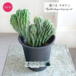 yiz ԉT{e@_؁iEW{Nj@4@i5`8jyIׂϗtAzyϗtA/CeA//i`/A/蕨/yV/ʔ/X[TCY/ubN/