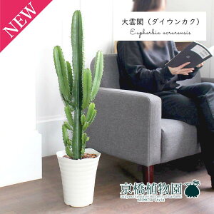 y30P5{Iz_ti_CEJNj7y~hTCY/CeA/j/JXj/zj/Vzj/Mtg/v[g/Ă₷/ϗtA/yV/ʔ/^z