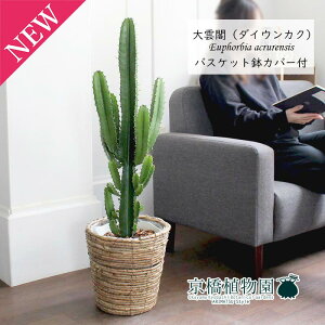 y30P5{Iz_ti_CEJNj7yoXPbgJo[t/uEzy~hTCY/CeA/j/JXj/zj/Vzj/Mtg/v[g/Ă₷/ϗtA/y