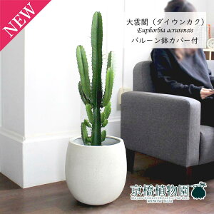 _ti_CEJNj7yo[Jo[t/AeB[NzCgzy~hTCY/CeA/j/JXj/zj/Vzj/Mtg/v[g/Ă₷/ϗtA/yV/