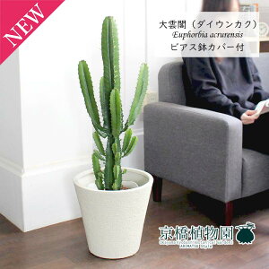 y25P5{IzyubNtCf[N[|LIz_ti_CEJNj7yrAXJo[t/zCgzy~hTCY/CeA/j/JXj/zj/Vzj/Mtg/v