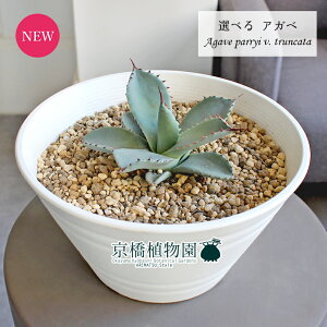 yizAKxEp[EgJ[^@zCgu[@I@7@ZA[gi1`5jyIׂϗtAzyϗtA/CeA//i`/A/蕨/yV/ʔ/