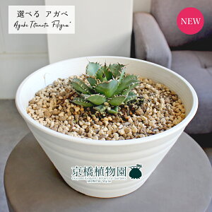 y1P7{IzyizAKxE`^m^EtBO[@7@ZA[gyIׂϗtAzyϗtA/CeA//i`/A/蕨/yV/ʔ/~hTCY/z