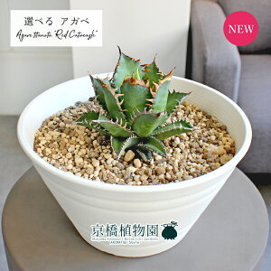 y1P7{IzyizAKxE`^m^EbhLbgEB[Y@7@ZA[gi1`5jyIׂϗtAzyϗtA/CeA//i`/A/蕨/yV/