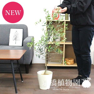 y25P5{IzyubNtCf[N[|LIzI[u@6y~hTCY/CeA/j/JXj/zj/Vzj/Mtg/v[g/Ă₷/ϗtA/yV/ʔ́z