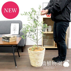 y25P5{IzyubNtCf[N[|LIzI[u@7yoXPbgJo[/AC{[zy~hTCY/CeA/j/JXj/zj/Vzj/Mtg/v[g/