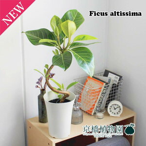 y1P7{IztBJXEAeV[}@6@Ȃ@vX`bNy~hTCY/CeA/j/JXj/zj/Vzj/Mtg/v[g/Ă₷/ϗtA/yV/ʔ