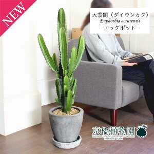 y30P5{IzyGbO|bg/O[z_ti_CEJNj7y󂯎MtzyՂ肽܂^̔zy~hTCY/CeA/j/JXj/zj/Vzj/Mtg/v[