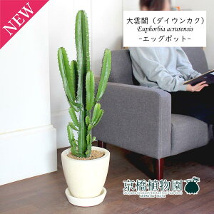 y30P5{IzyGbO|bg/AC{[z_ti_CEJNj7y󂯎MtzyՂ肽܂^̔zy~hTCY/CeA/j/JXj/zj/Vzj/Mtg/v