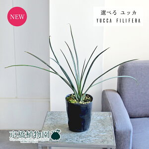 yizbJEtBtF@3.5|bgi6`11jyIׂϗtAzyϗtA/CeA//i`/A/蕨/yV/ʔ/X[TCY//ubN/ɋ/