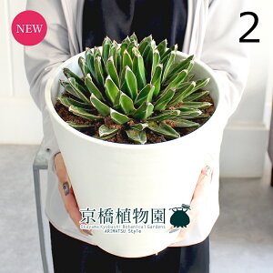 y1P7{zyizAKxETTmLi̐j@7i2jZA[gyϗtA/CeA//i`/A/蕨/yV/ʔ/~hTCY/zCg/A/ʌ