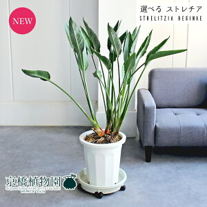 yizXg`A/Xg`AEMl@10yIׂϗtAzyϗtA/CeA//i`/A/蕨/yV/ʔ/[WTCY/ڔ/^/zCg//Mtg/v