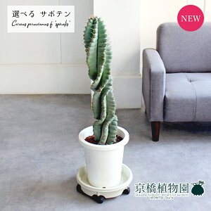 yizT{e@XsX@8@yIׂϗtAzyϗtA/CeA//i`/A/蕨/yV/ʔ/~hTCY/^/zCg/Ă₷/ɋ/l