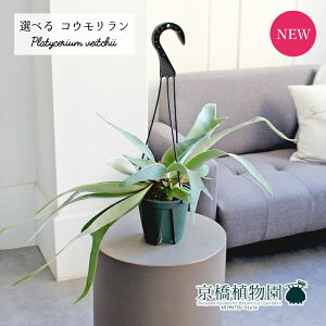 y}\N[|LIzyizRE/rJNV_Er[`[@4@݂艺i1`4jyIׂϗtAzyϗtA/CeA//i`/A/蕨/yV/ʔ/X