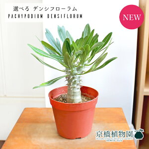 y1P7{zyizpL|fBEEfVt[@3.5i11`15jyIׂϗtAzyϗtA zj JXj Vzj ]j j Ă₷ Mtg v[gz